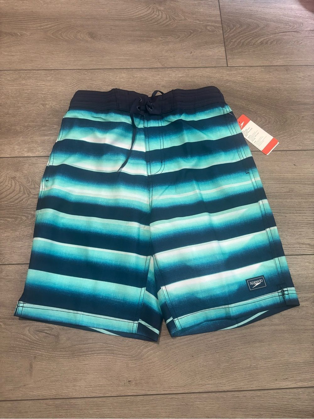 Speedo Men’s Teal Stripe Swim Trunks